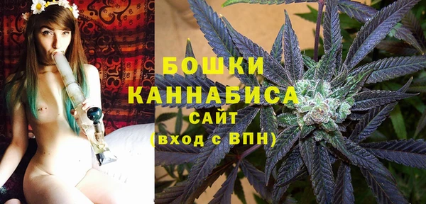 мдпв Киреевск